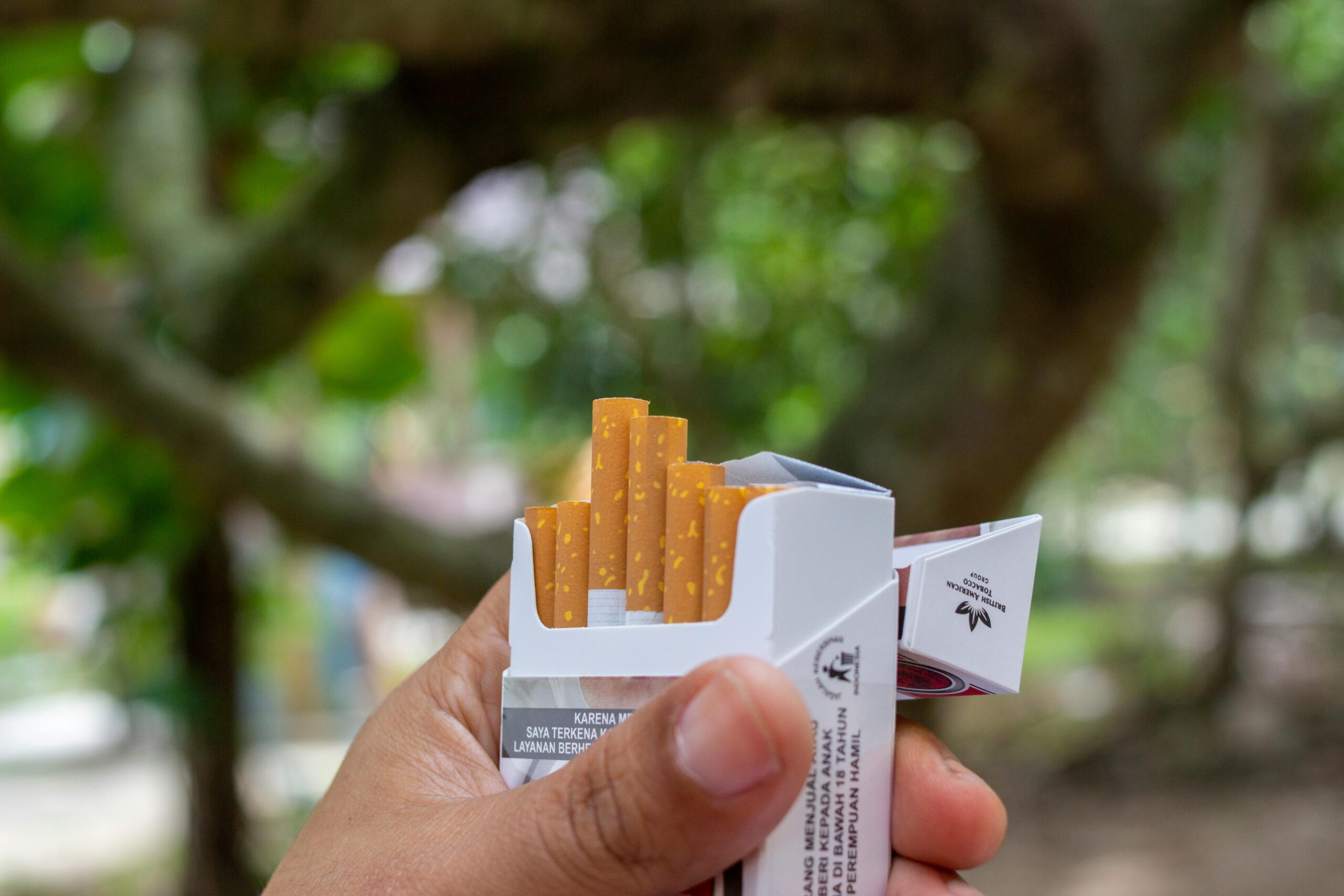 Manchester Cigarettes vs Other Brands: Are They Worth It?